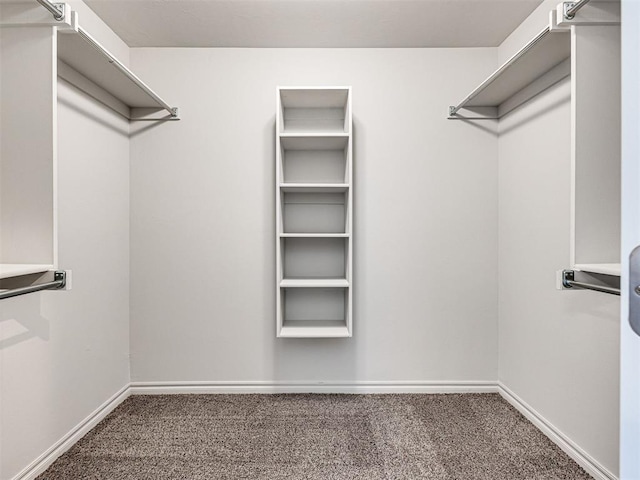 walk in closet featuring carpet flooring