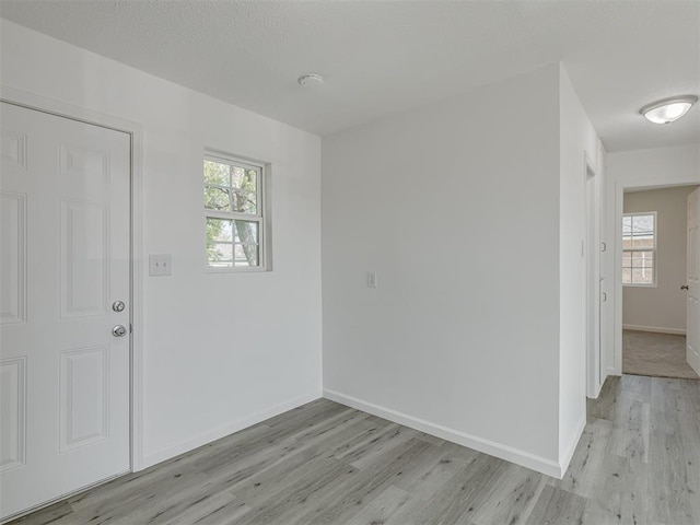 foyer entrance with light hardwood / wood-style flooring and a healthy amount of sunlight