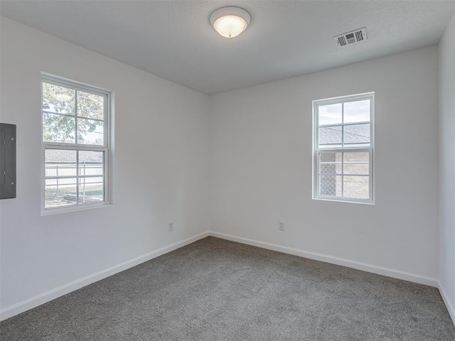 carpeted spare room featuring electric panel