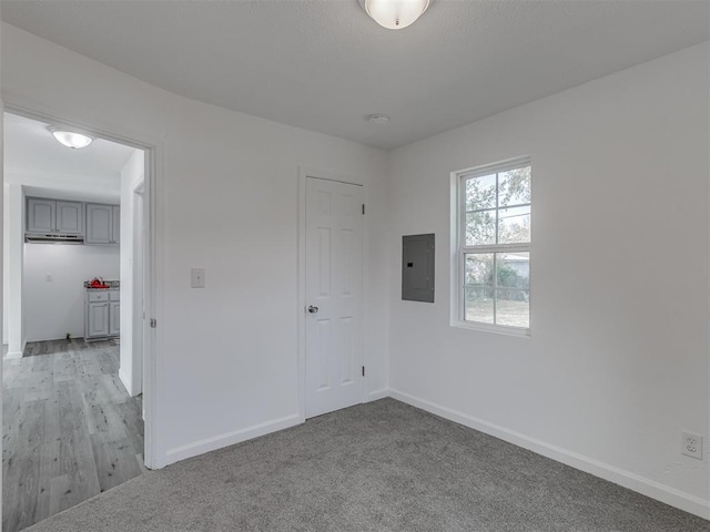 carpeted empty room featuring electric panel