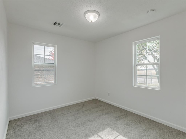 unfurnished room with light carpet, a textured ceiling, and a wealth of natural light