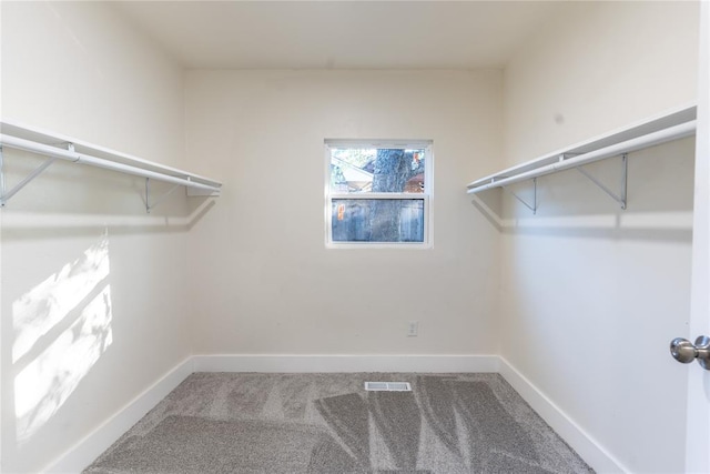 walk in closet with carpet floors