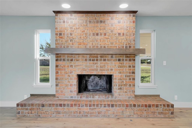 details featuring wood-type flooring and a fireplace