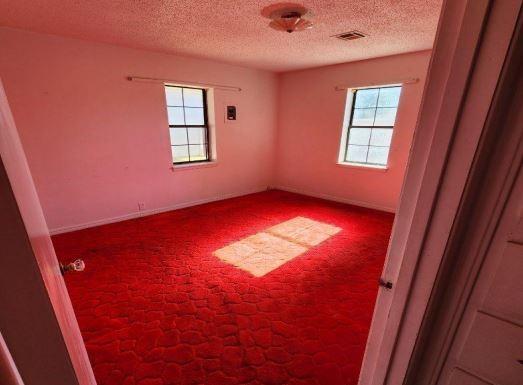 carpeted empty room with a textured ceiling and a wealth of natural light