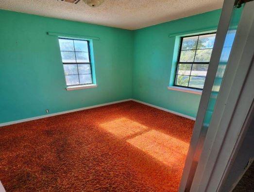 spare room with a wealth of natural light, carpet floors, and a textured ceiling