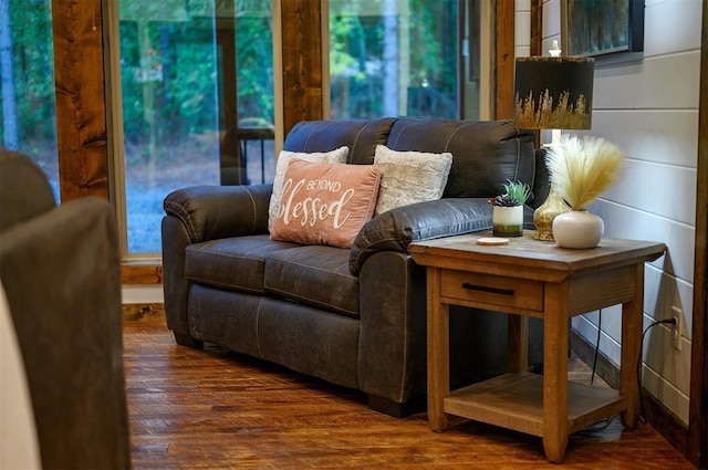 living room with dark hardwood / wood-style floors