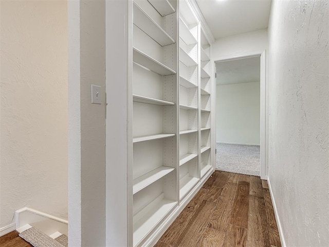 walk in closet featuring wood-type flooring