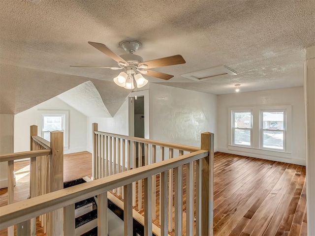 hallway with a wealth of natural light, wood-type flooring, and a textured ceiling