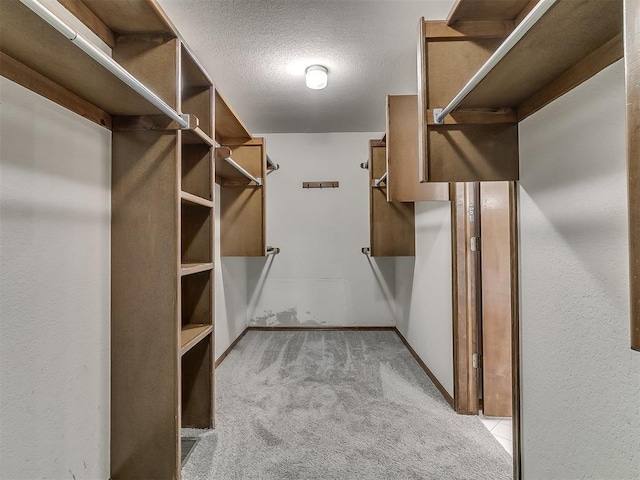 spacious closet featuring light colored carpet