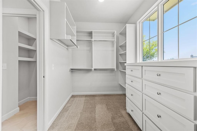 walk in closet featuring light carpet