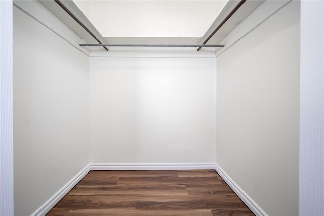 spacious closet with dark wood-type flooring