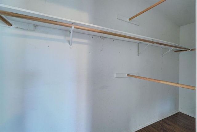 walk in closet featuring dark hardwood / wood-style flooring