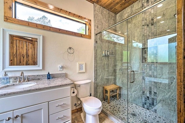 bathroom featuring vanity, toilet, and a shower with shower door