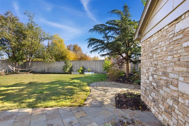 view of yard with a patio area