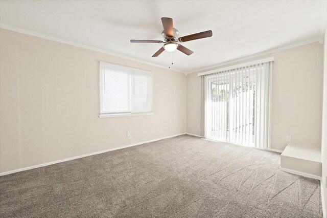 carpeted spare room with ceiling fan and ornamental molding