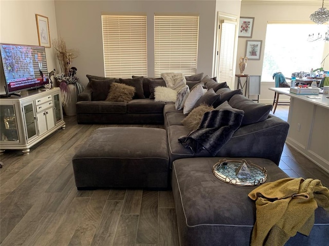 living room with dark hardwood / wood-style flooring