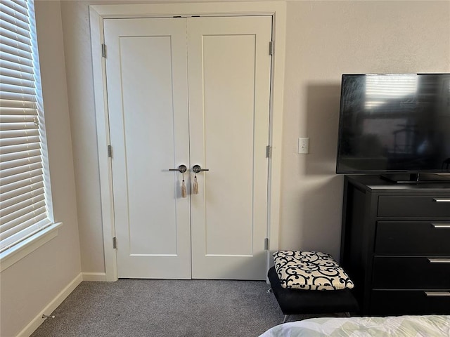 bedroom with carpet and a closet