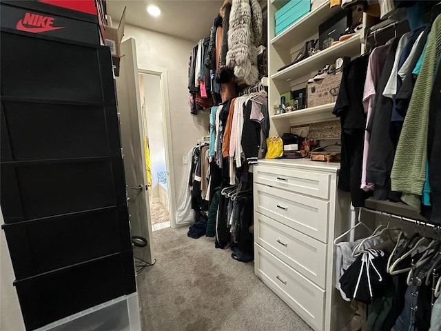 walk in closet featuring light carpet