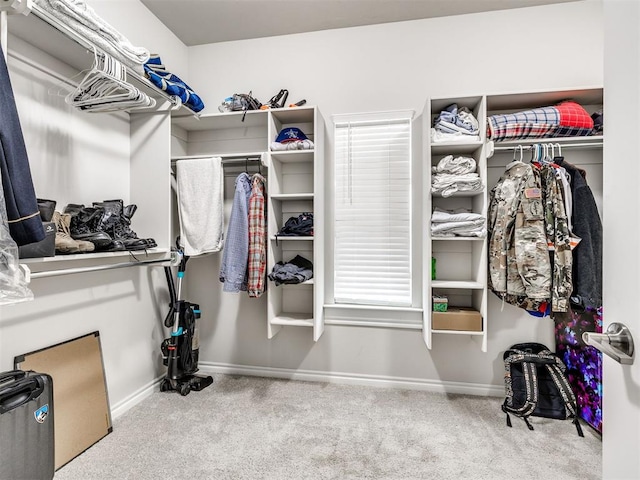 walk in closet with carpet