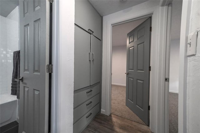 corridor with dark hardwood / wood-style floors