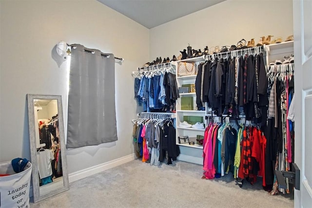 spacious closet with carpet