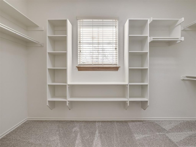 walk in closet featuring carpet floors