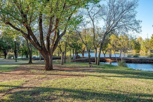 view of yard with a water view