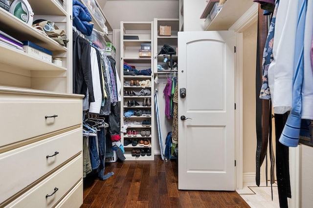 spacious closet with dark hardwood / wood-style flooring