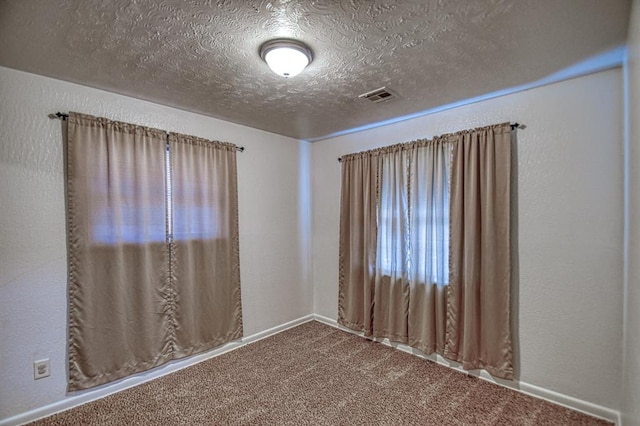 empty room featuring carpet, a textured ceiling, and a healthy amount of sunlight