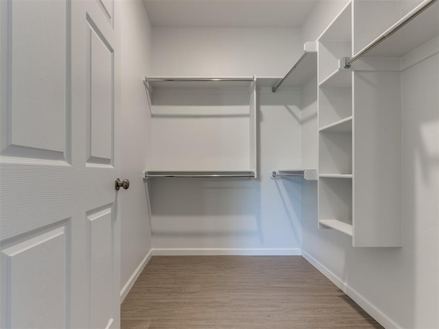 walk in closet with hardwood / wood-style floors