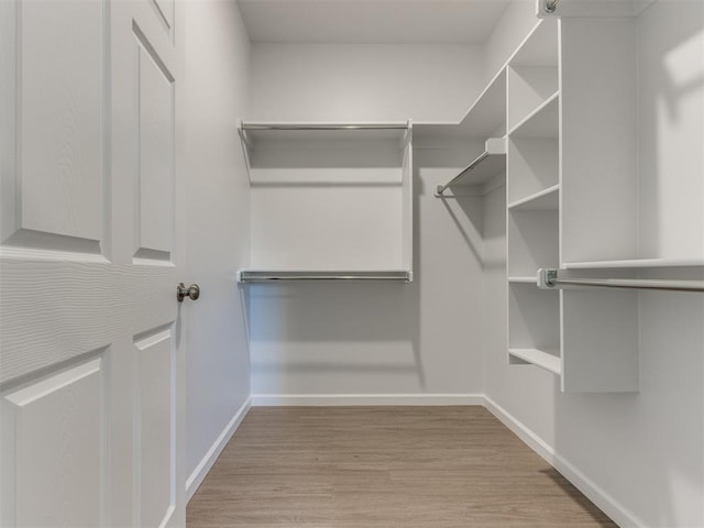 walk in closet with light hardwood / wood-style floors