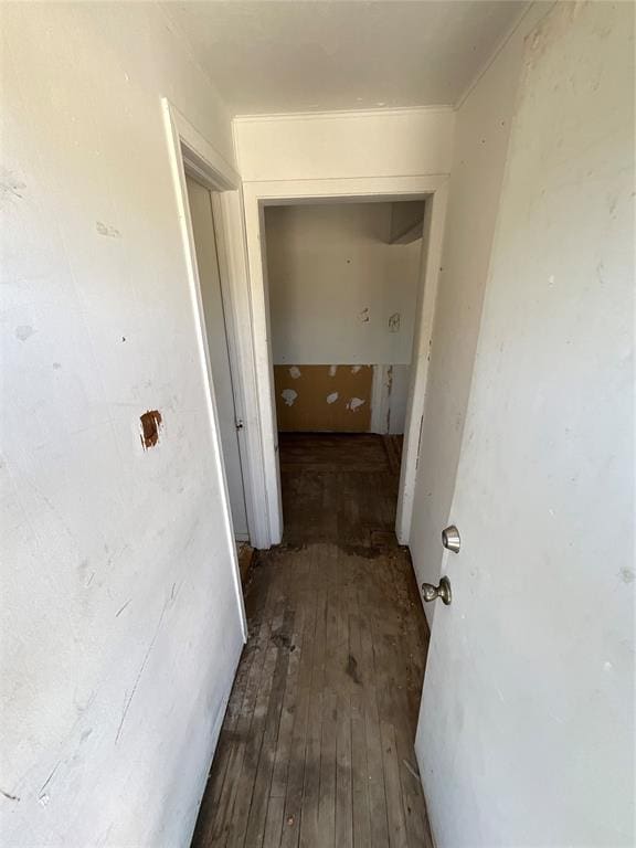 corridor featuring dark wood-type flooring