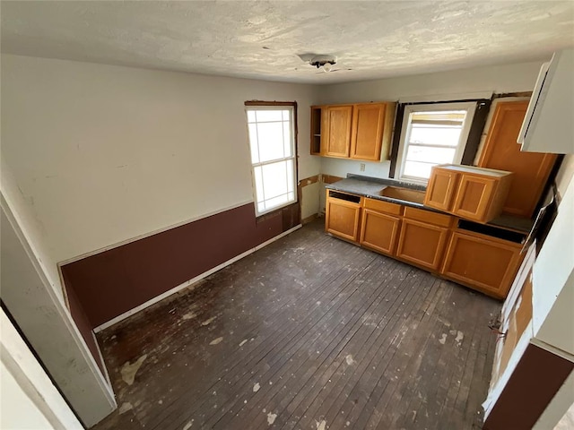 kitchen with a healthy amount of sunlight and dark hardwood / wood-style flooring