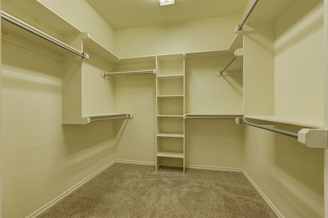 spacious closet with carpet floors