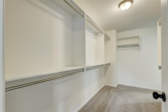 walk in closet featuring light colored carpet