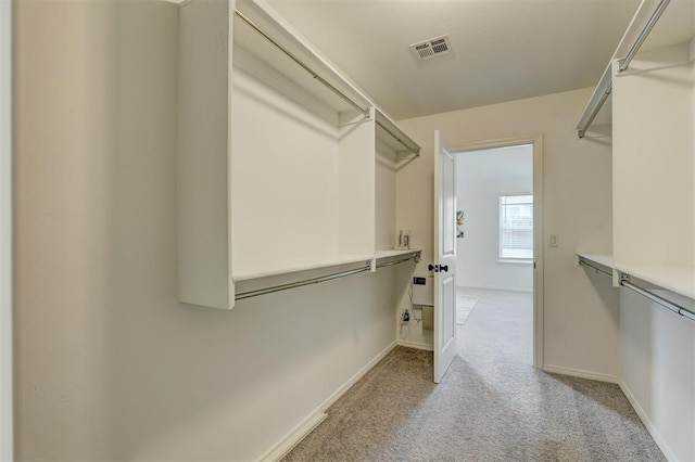 spacious closet with light carpet