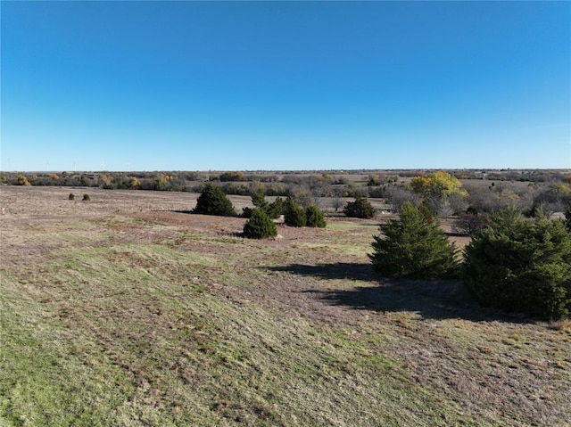 view of local wilderness featuring a rural view