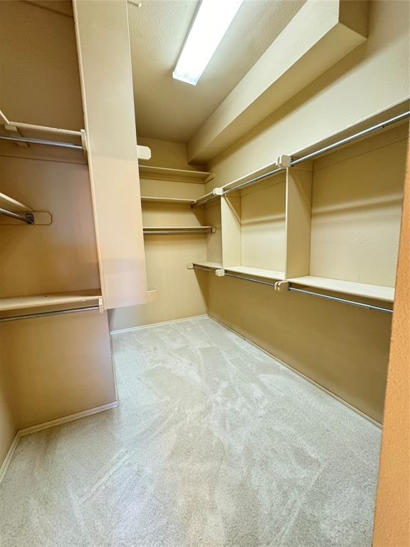 spacious closet featuring light colored carpet