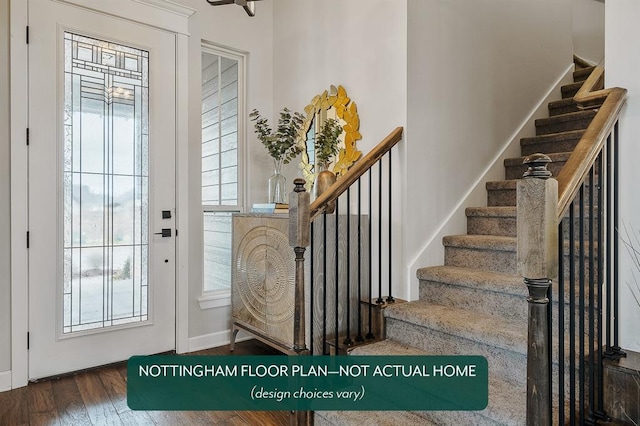 entryway featuring dark hardwood / wood-style flooring