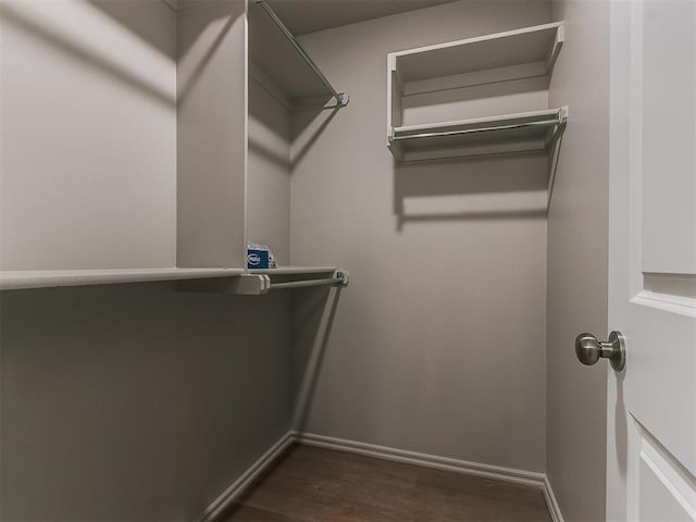 walk in closet featuring dark wood-style floors