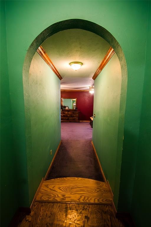 hall featuring carpet floors and ornamental molding