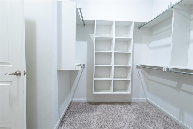 walk in closet featuring light colored carpet