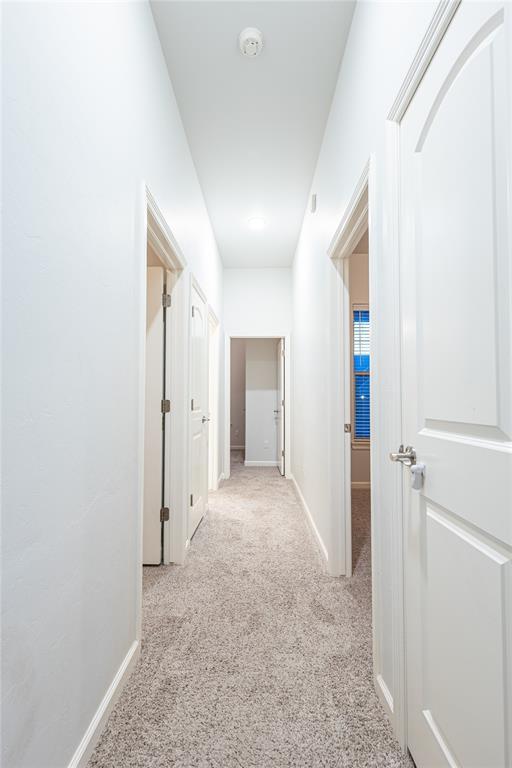 hall featuring light colored carpet