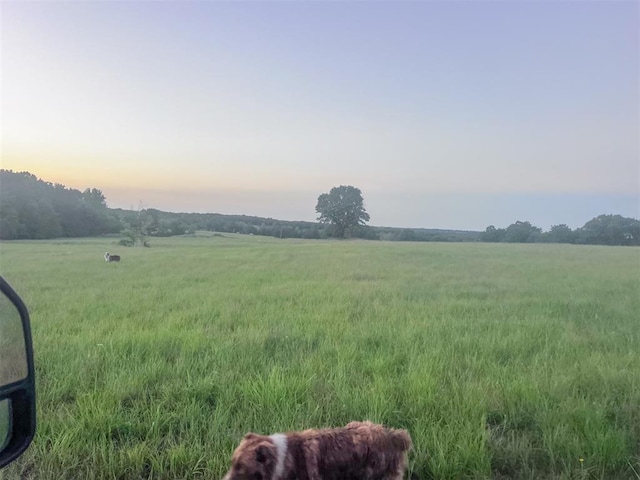 yard at dusk with a rural view