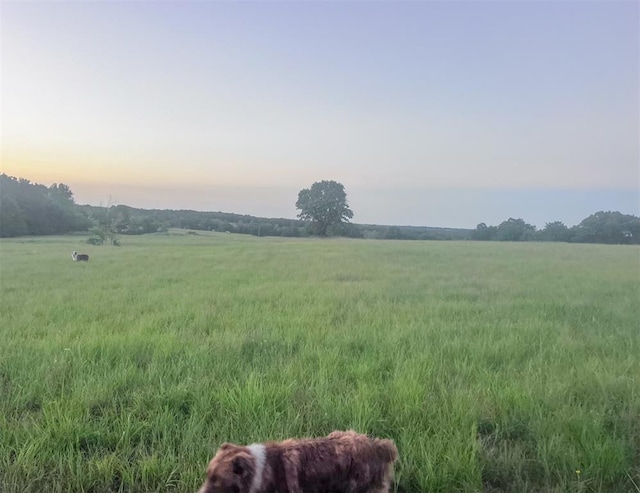 nature at dusk with a rural view