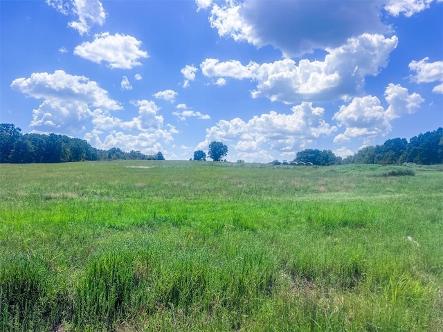 view of nature featuring a rural view