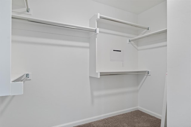 walk in closet with carpet