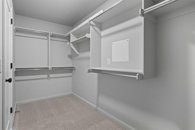 spacious closet featuring light colored carpet