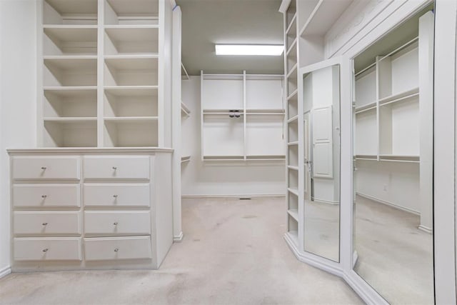 spacious closet with light carpet