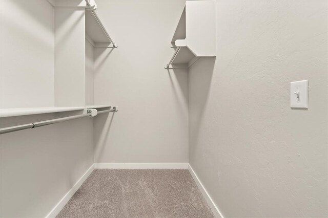 spacious closet featuring light carpet